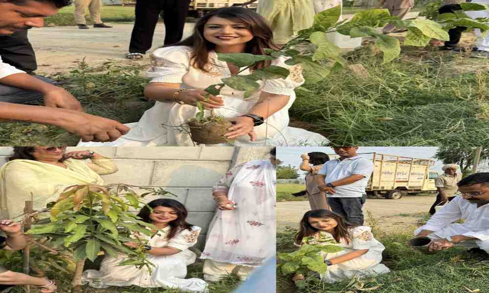 Vip Group With Helping Hands ने किया पौधरोपण, पर्यावरण संरक्षण का लिया संकल्प